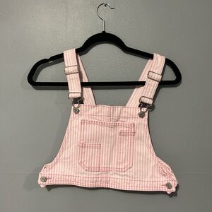 Zara Pink Denim Top